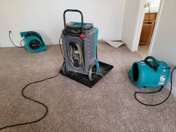 Harvey, IL Water damage restoration Company